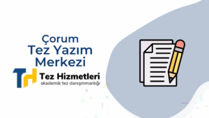 çorum tez yazım merkezi