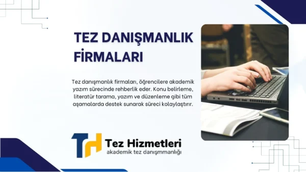 Tez Danışmanlık Firmaları