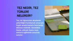 Tez Nedir? / Tez Türleri Nelerdir?