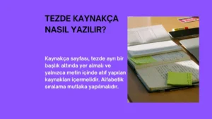 Tezde Kaynakça Nasıl Yazılır?